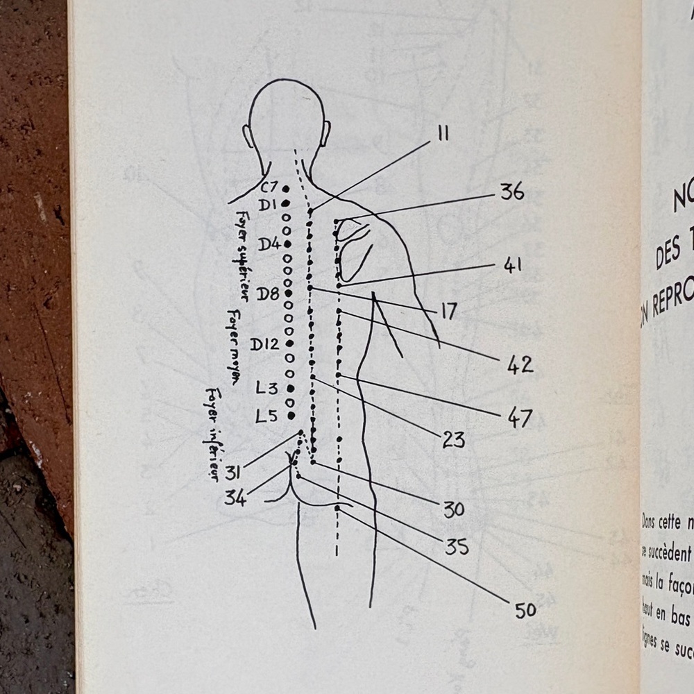 Les Bases Traditionelles de l’Acupuncture Chinoise Chinese Medicine Acupuncture